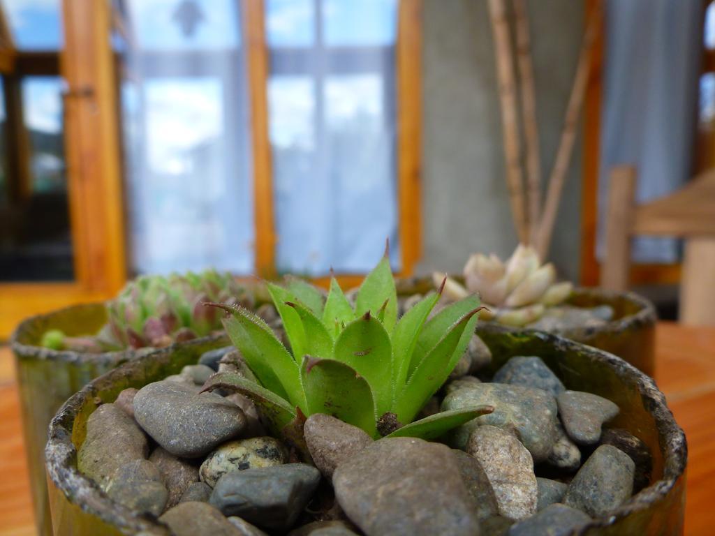 Earthship Patagonia Eco Accommodations El Bolson Bagian luar foto